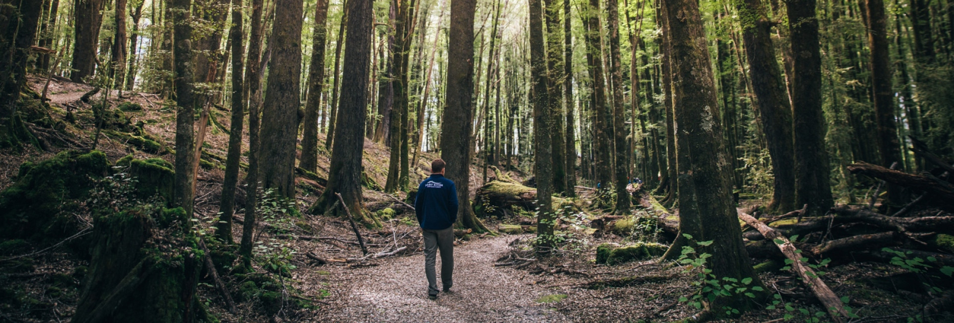Man walking through forest in Mount Aspiring National Park